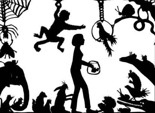 die_tieraerztin_raphaela