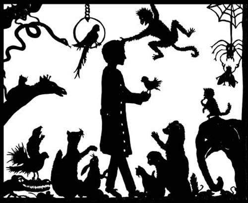 massimo,_der_tierarzt