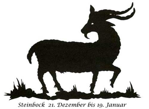steinbock