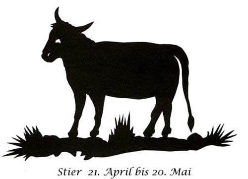 stier